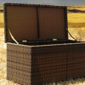 Biak Box