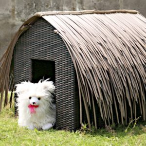 Gugy Pet House