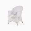 Frey Wicker Outdoor Rattan Arm Chair perspective