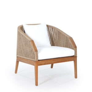 ACE Arm Chair